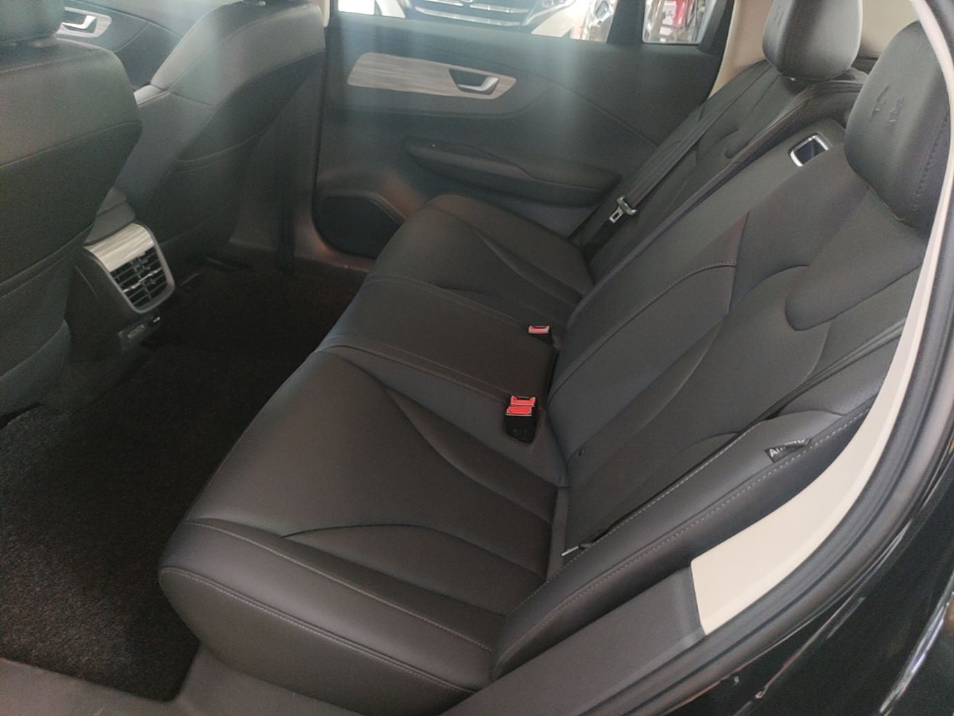 Hongqi E-QM5 2024 560km PLUS — снимка 20