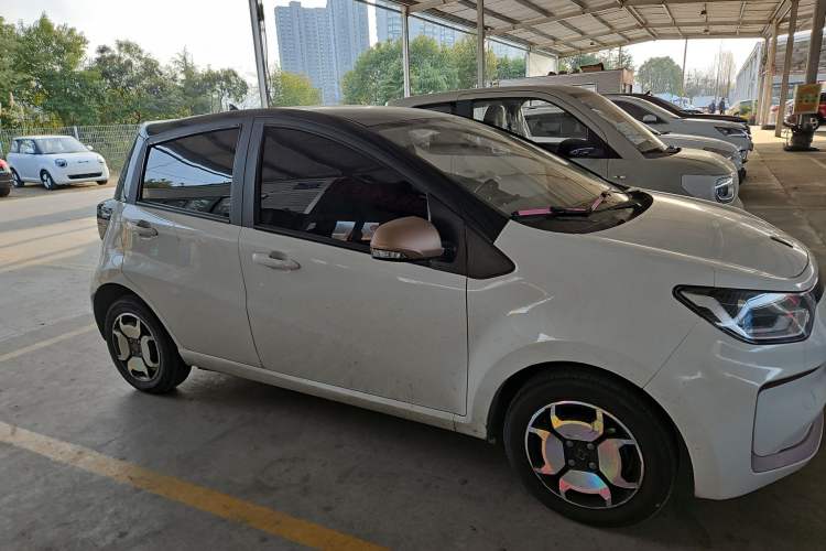 Used SOL E10X 2022 Flower Fairy Design Four-Leaf Clover