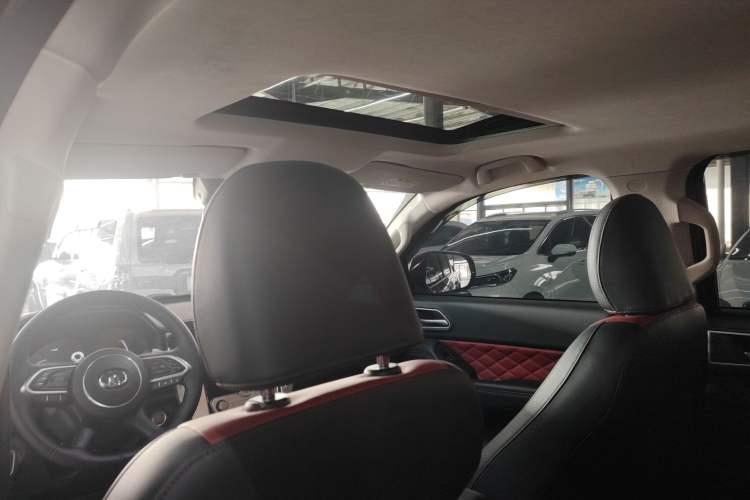 Used Great Wall Poer 2021 2.0T Off-Road Edition Automatic Gasoline 4x4 Mount Everest Version GW4C20B