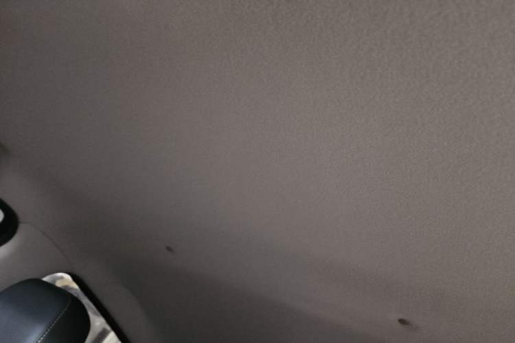 Used SOL E10X 2022 Flower Fairy Design Four-Leaf Clover