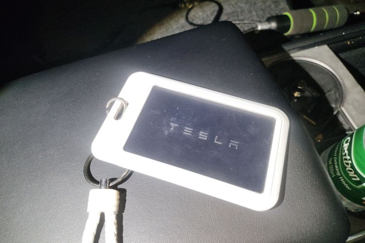 Used Tesla Model Y 2021 Standard Range Rear-Wheel Drive Version
