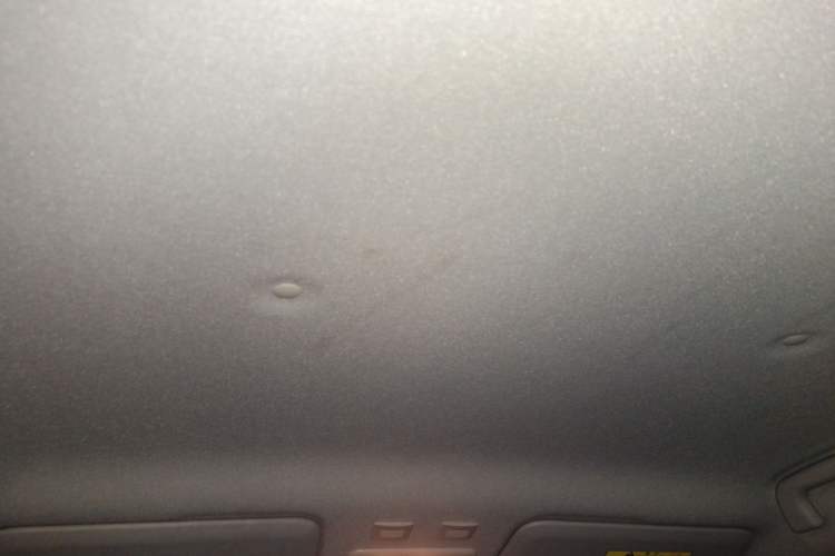 Used ORA Black Cat 2019 351 km Goddess Edition Headliner