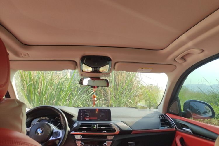 Used BMW X3 2018 xDrive25i M Sport Package China V Headliner