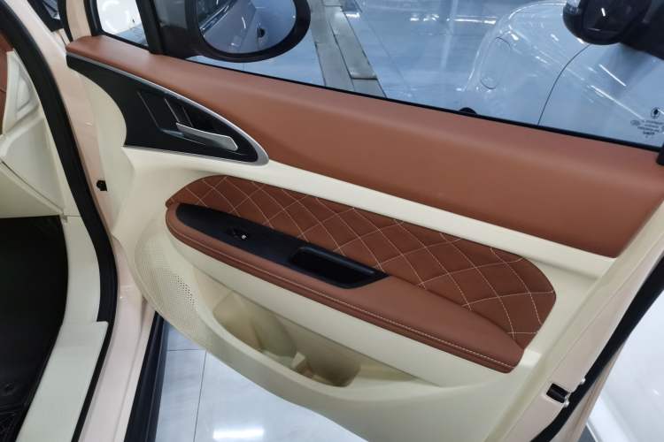 Used ORA Good Cat 2023 401 km Standard Range Luxury Version Lithium Iron Phosphate
