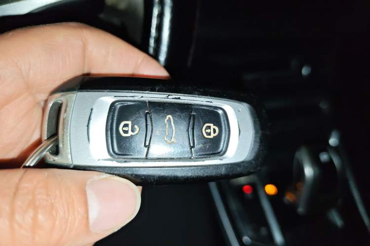 Used Geely Auto Emgrand New Energy 2018 EV450 Ambition Model
