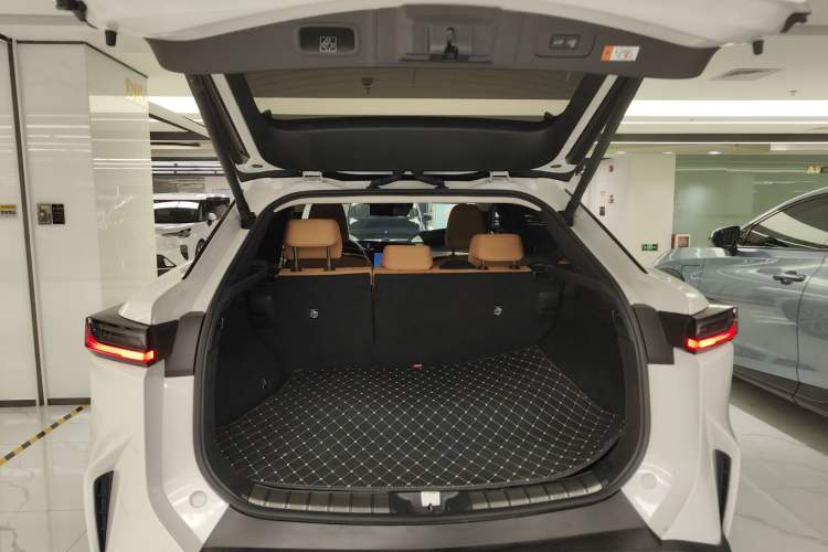 Used Lexus RZ 2023 450e All-Wheel Drive Luxury Edition Trunk