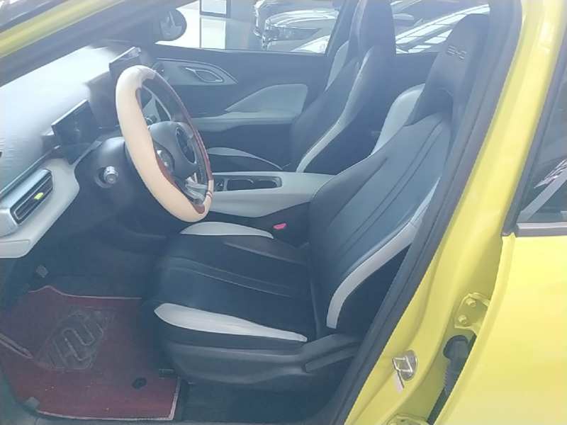 Used BYD Seagull 2023 Free Edition — 14