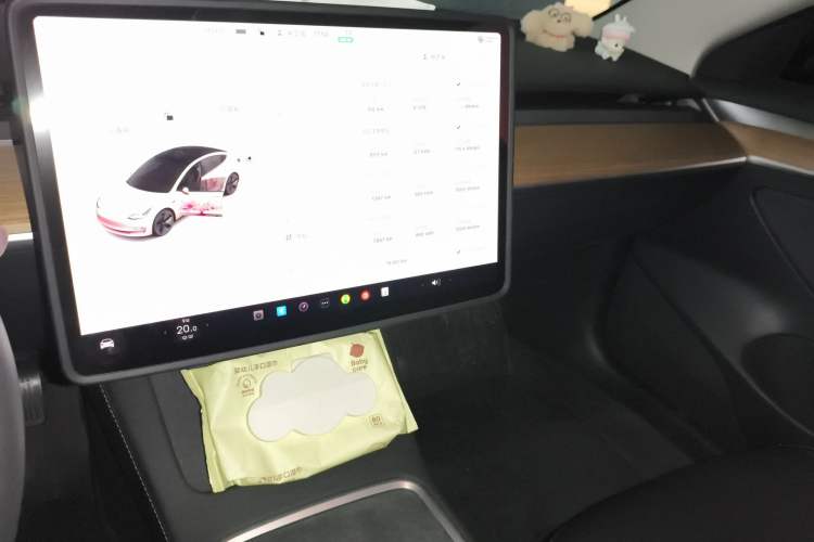 Used Tesla Model 3 2022 Rear-Wheel-Drive Version