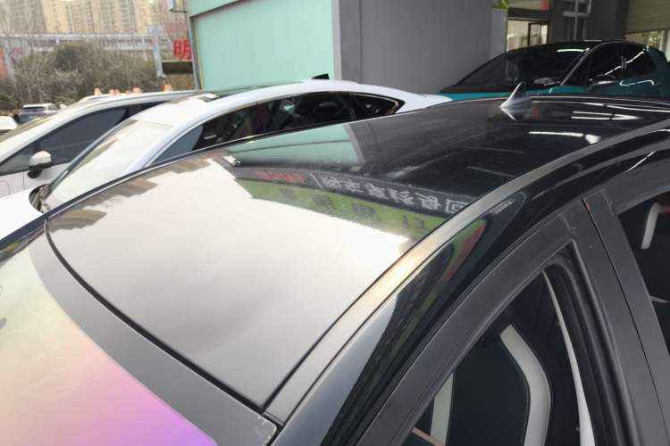 Used SOL E10X 2022 Flower Fairy Design Four-Leaf Clover