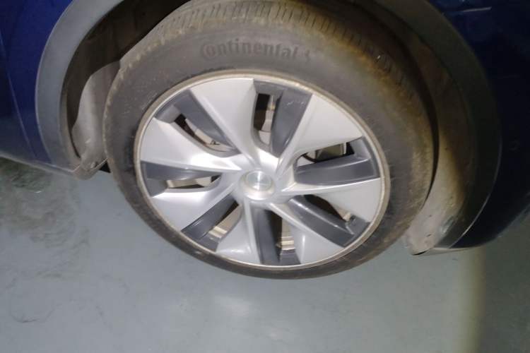 Used Tesla Model Y 2021 Standard Range Rear-Wheel Drive Version
