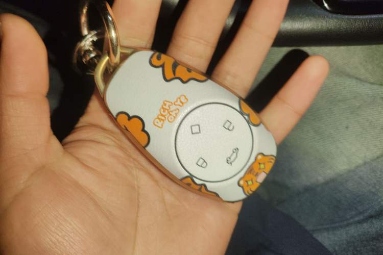 Used Leapmotor T03 2021 400 Luxury Edition Vehicle Key