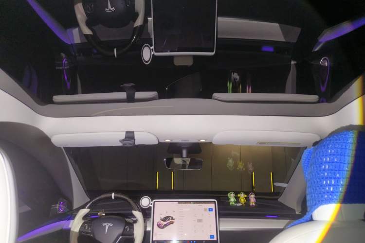 Used Tesla Model Y 2021 Standard Range Rear-Wheel Drive Version
