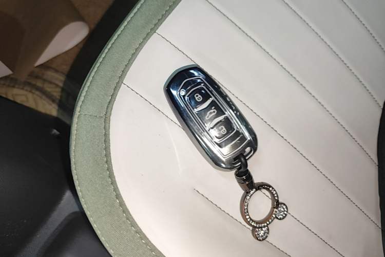 Used Geely Galaxy Panda 2025 210km Panda Rider Interior 1