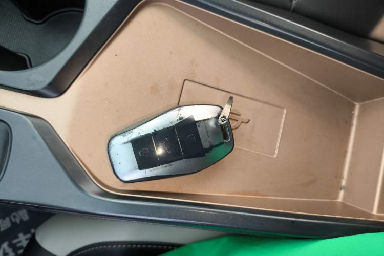 Used SOL E10X 2022 Flower Fairy Design Four-Leaf Clover