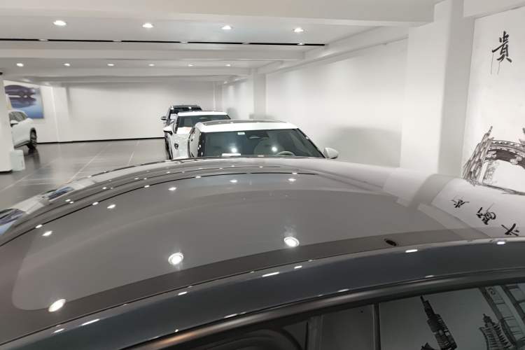 Used Tesla Model Y 2025 Rear-Wheel-Drive Version Roof