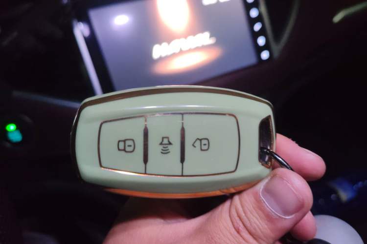 Used Haval H6 Coupe 2019 1.5T Automatic Two-Wheel Drive Ultra-Luxury Smart Connectivity Version China V Emission Standard Vehicle Key