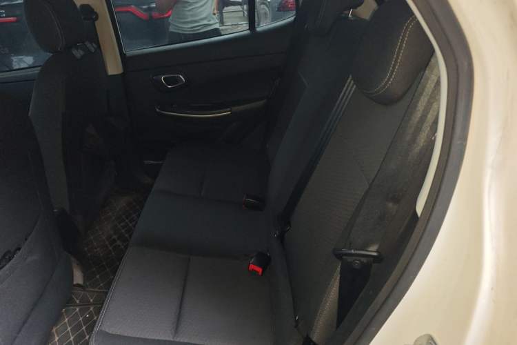 Used Dayun Yuehu 2022 30.66 kWh Two-Wheel Drive Standard Version