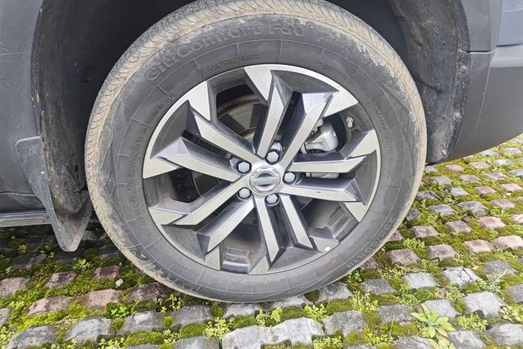 Used Haval DARGO 2021 1.5T DCT Two-Wheel Drive Husky Edition