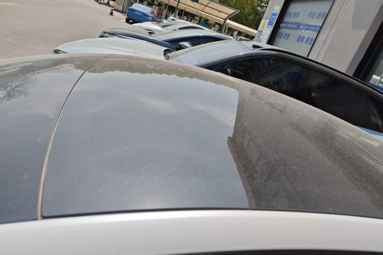 Used Tesla Model 3 2023 Long-Range All-Wheel-Drive Version Roof