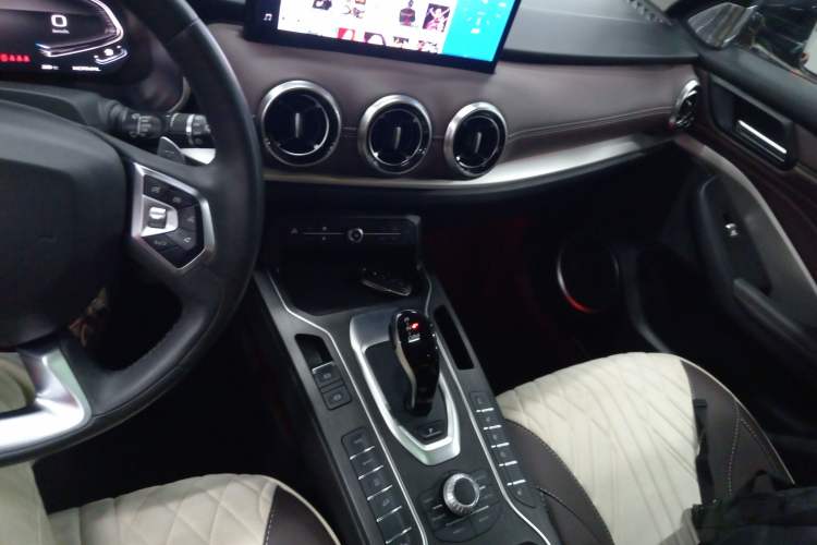 Used Wey VV6 2021 2.0T Two-Wheel Drive Smart Protection+