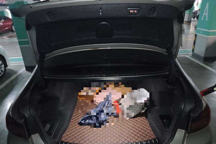 Used BMW 5 Series 2021 525Li Luxury Package