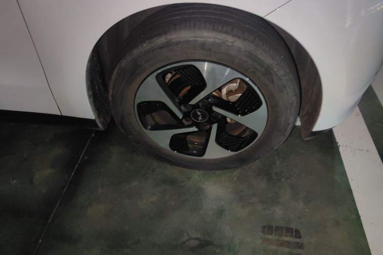 Used JAC Yiwei 3 2023 505km Pro