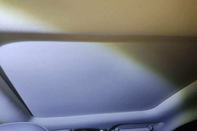 Used Leapmotor T03 2021 400 Luxury Edition Headliner