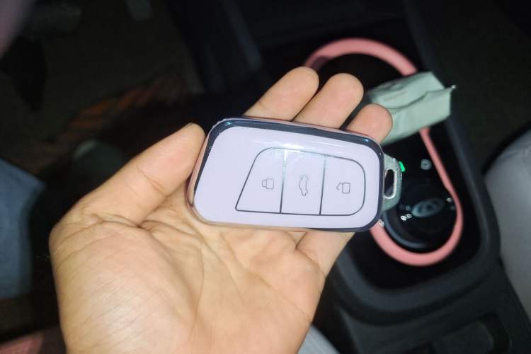 Used Chery Little Ant 2022 Sweet Pink Edition Half-Sugar Version Lithium Iron Phosphate 30 kW 301 km
