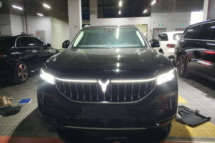 Used VOYAH FREE 2021 Four-Wheel Drive Standard Range-Extended Exclusive Luxury Package Front