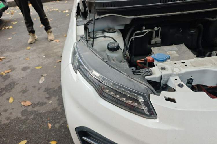 Used Dayun Yuehu 2022 30.66 kWh Two-Wheel Drive Standard Version