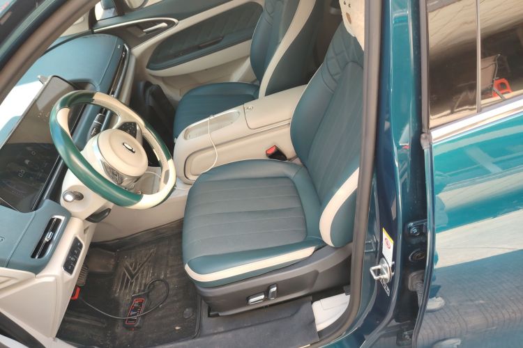 Used ORA Good Cat 2023 401 km Standard Range Premium Version Lithium Iron Phosphate Left Front Seat