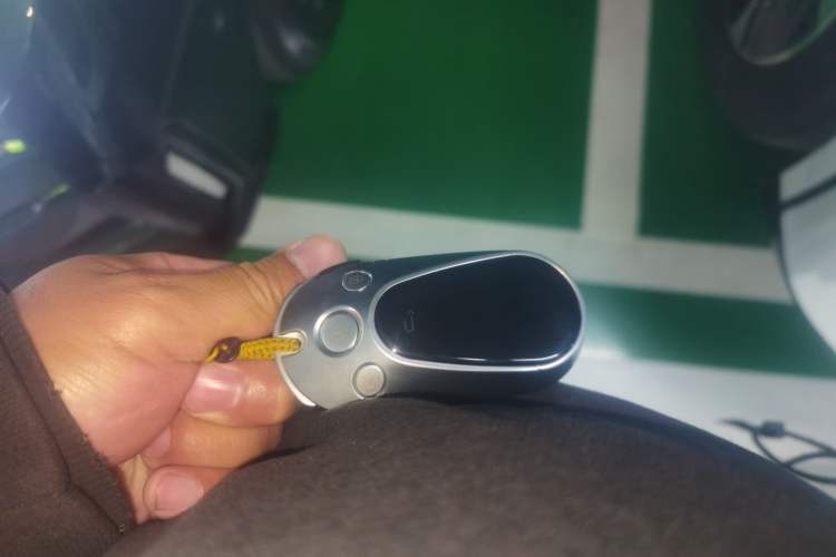 Used VOYAH FREE 2024 Ultra-Long Range Intelligent Driving Version Interior 1