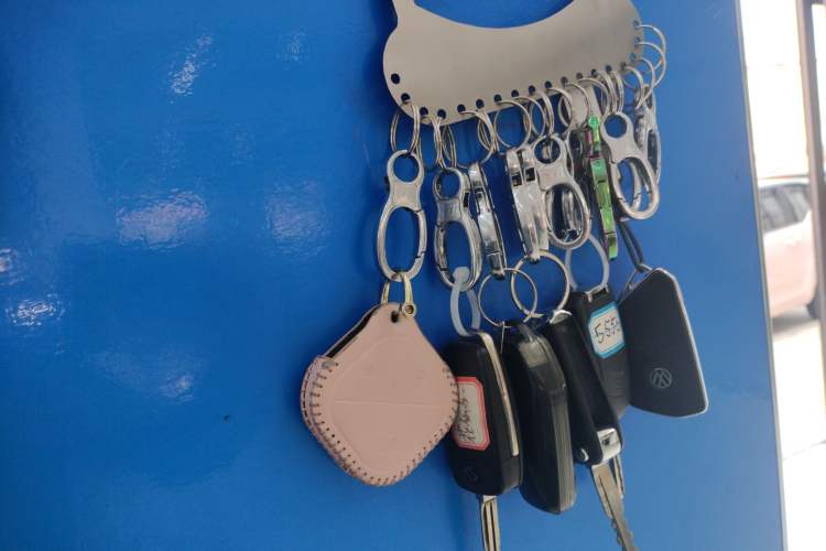 Used ORA Good Cat 2023 401 km Standard Range Luxury Version Lithium Iron Phosphate
