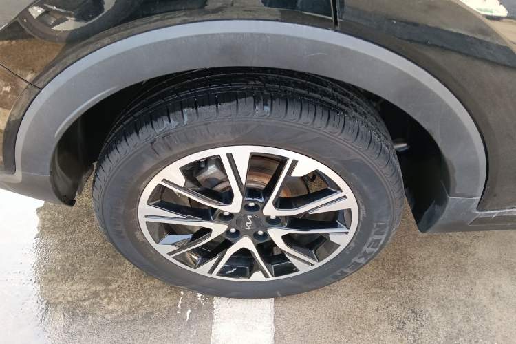 Used Kia Sportage R 2021 Ace 1.5T GT Line Supreme Edition