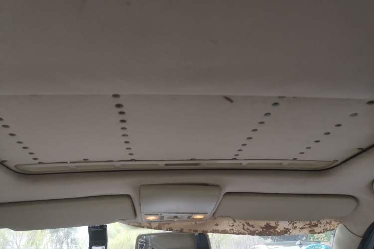 Used Volkswagen Lavida 2011 1.6L Automatic Premium Edition Headliner