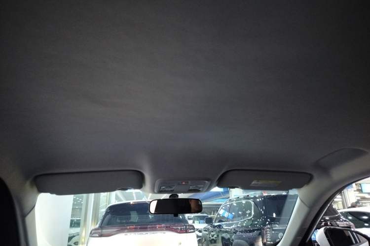 Used Dongfeng Aeolus SKY EV01 2024 530km PRO
