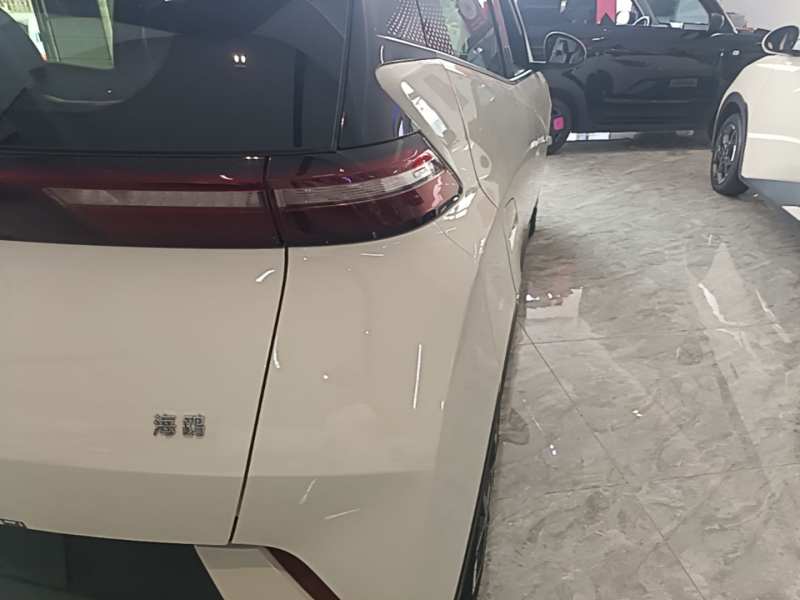 Used BYD Seagull 2024 Honor Edition 305km Freedom Version — 7