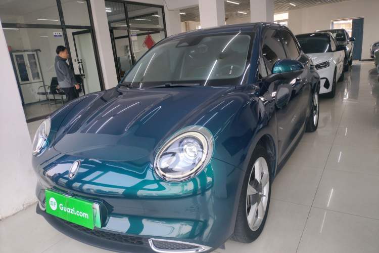 Used ORA Good Cat 2023 401 km Standard Range Luxury Version Lithium Iron Phosphate
