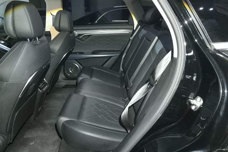 Used VOYAH FREE 2021 Four-Wheel Drive Standard Range-Extended Exclusive Luxury Package Left Rear Seat