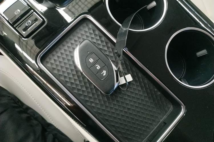 Used FORTHING Xinghai V9 2024 1.5TD 100km Chinese Knot Series Performance Edition