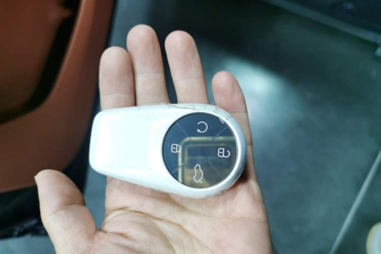 Used EXEED Lingyun 2025 300T Two-Wheel Drive Starry Edition