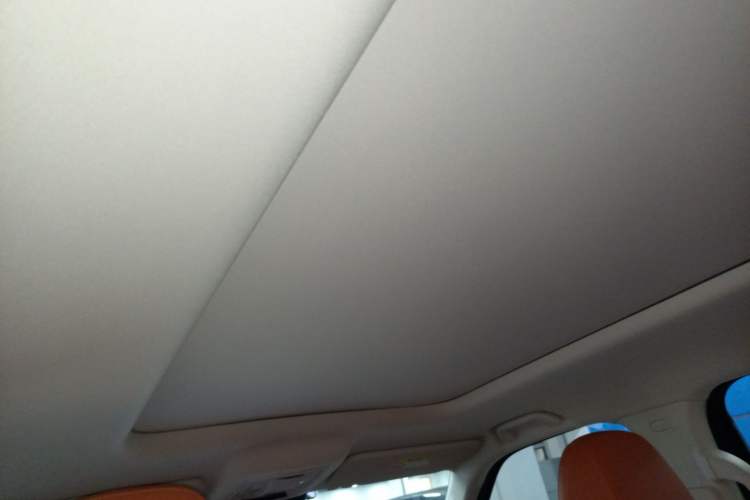 Used Haval Raptor New Energy 2024 Hi4 102 Pro Headliner