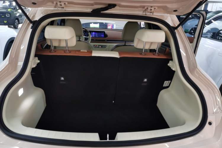 Used ORA Good Cat 2023 401 km Standard Range Luxury Version Lithium Iron Phosphate
