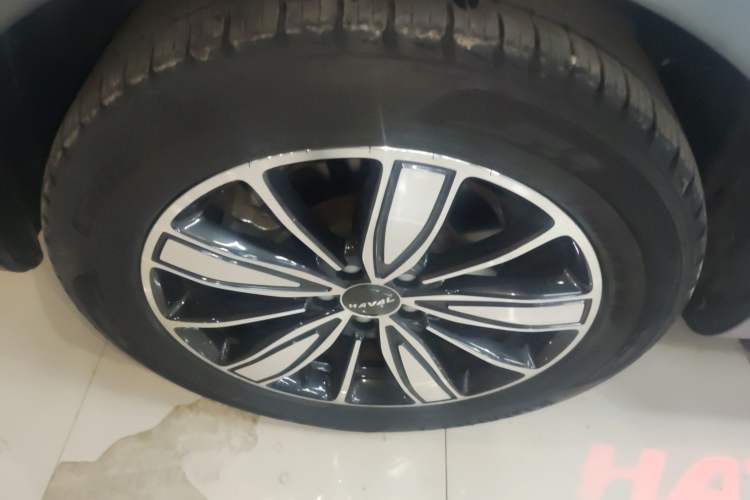 Used Haval H6 2021 1.5T Automatic Champion Edition