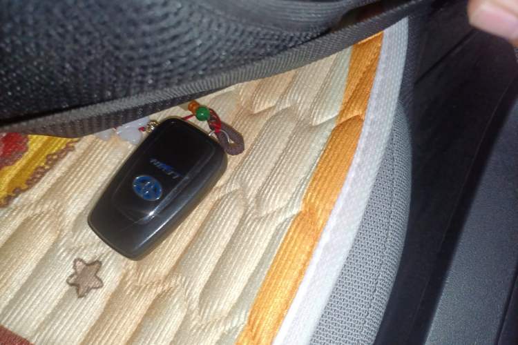 Used Toyota Levin 2019 Dual-Engine 1.8H E-CVT Luxury Edition China VI Standard Interior 1