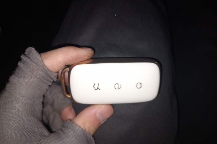 Used Geely Galaxy E8 2024 550 km Range Rear-Drive Dragon Edition