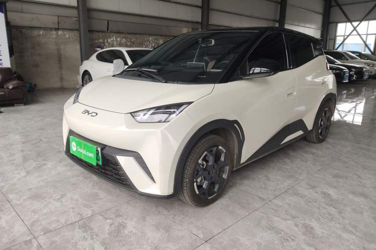 Used BYD Seagull 2025 305 km Free Version
