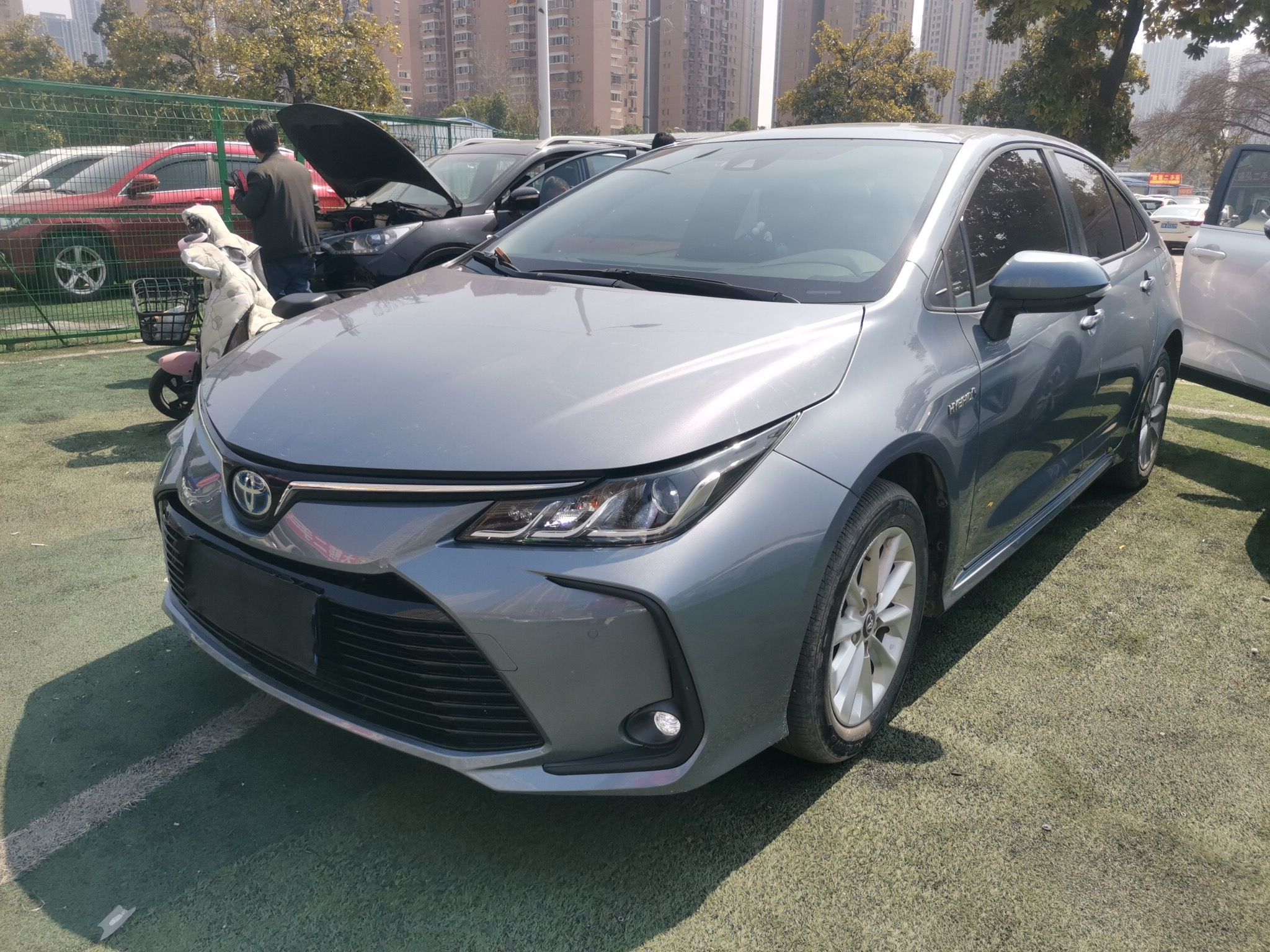 تحت مقدمة السيارة