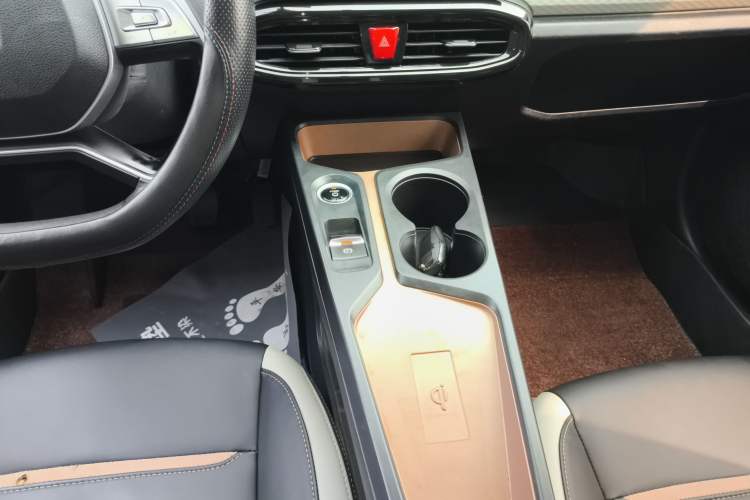 Used SOL E10X 2022 Flower Fairy Design Four-Leaf Clover