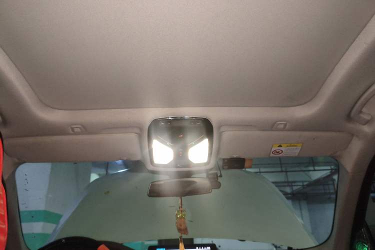 Used BMW 5 Series New Energy 2020 530Le Luxury Package Headliner